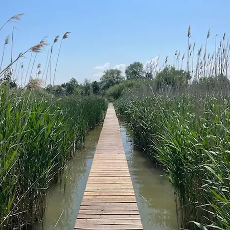 Casa de Férias Házikó Vendégház/balatonfenyves *